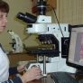 Analysis of histological preparations, researcher Danyshchuk Z.
